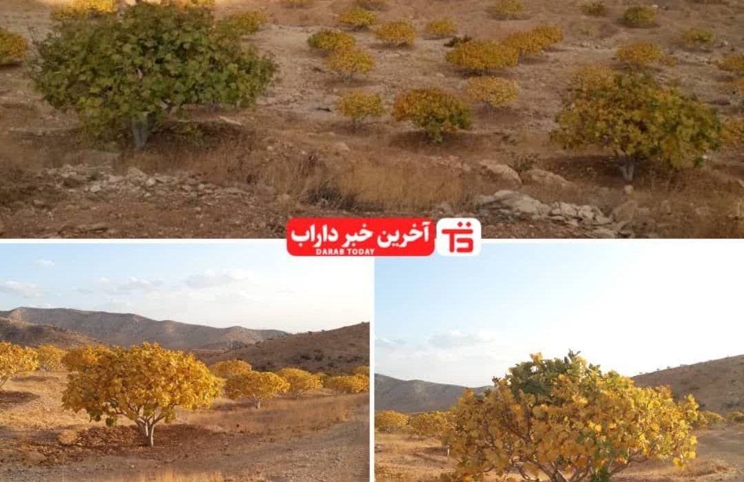 نقاشی زیبای خداوند در دفتر طبیعت