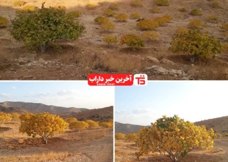 نقاشی زیبای خداوند در دفتر طبیعت