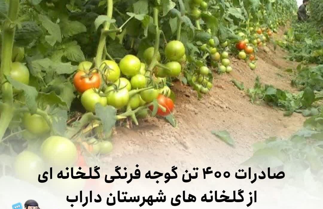 صادرات ۴۰۰ تن گوجه فرنگی گلخانه ای از گلخانه های شهرستان داراب