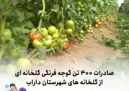 صادرات ۴۰۰ تن گوجه فرنگی گلخانه ای از گلخانه های شهرستان داراب