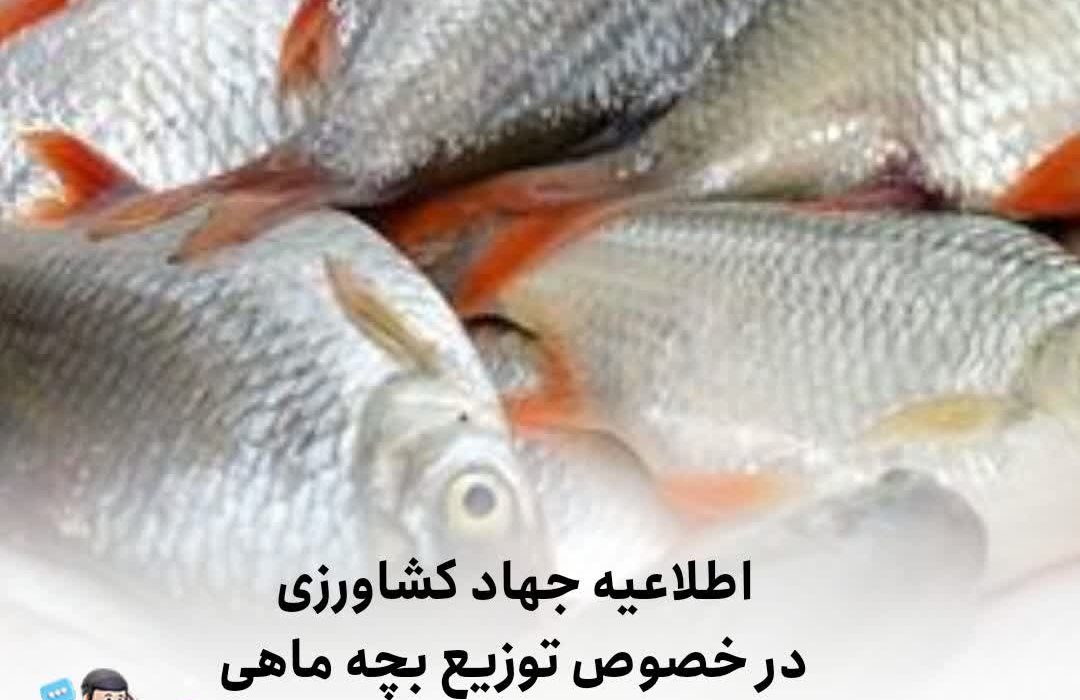 اطلاعیه جهاد کشاورزی توزیع بچه ماهی