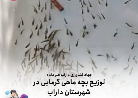 توزیع بچه ماهی گرمابی در شهرستان داراب