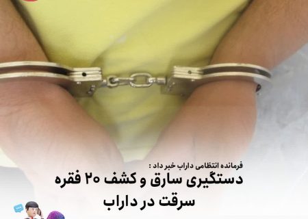 دستگیری سارق و کشف بیست فقره سرقت در داراب