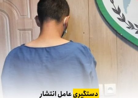 دستگيري عامل انتشار تصاوير شخصی در فضای مجازی
