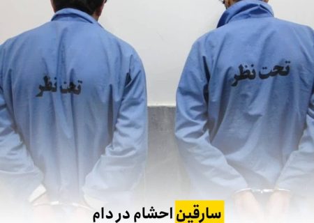 سارقين احشام در دام پليس آگاهی داراب