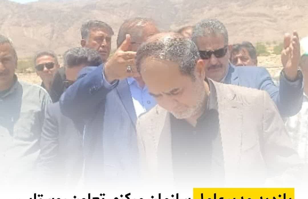 بازدید مدیرعامل سازمان مرکزی تعاون روستایی ایران از قطب تولید پیاز جنوب کشور