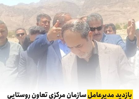 بازدید مدیرعامل سازمان مرکزی تعاون روستایی ایران از قطب تولید پیاز جنوب کشور